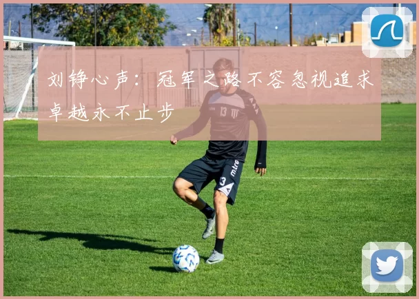 刘铮心声：冠军之路不容忽视追求卓越永不止步